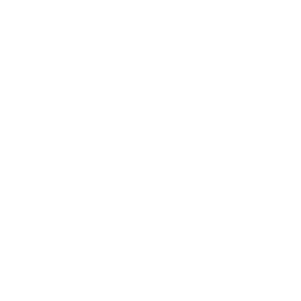 Galletas Scricks